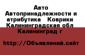 Авто Автопринадлежности и атрибутика - Коврики. Калининградская обл.,Калининград г.